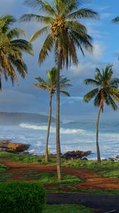 Preview wallpaper palm trees, coast, ocean, waves, tropics
