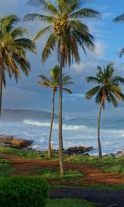 Preview wallpaper palm trees, coast, ocean, waves, tropics