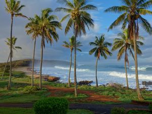 Preview wallpaper palm trees, coast, ocean, waves, tropics