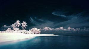 Preview wallpaper palm trees, coast, sea, snow