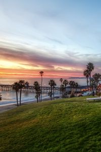 Preview wallpaper palm trees, coast, sea, table, benches, picnic, slope, evening