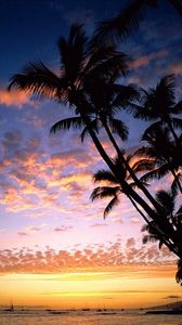 Preview wallpaper palm trees, coast, silhouettes, sea, sky, evening, ships, outlines, hawaii