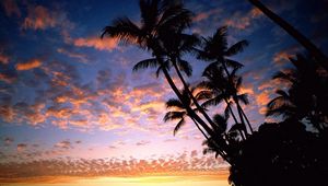 Preview wallpaper palm trees, coast, silhouettes, sea, sky, evening, ships, outlines, hawaii