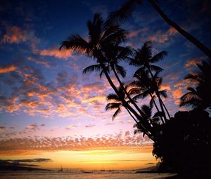 Preview wallpaper palm trees, coast, silhouettes, sea, sky, evening, ships, outlines, hawaii