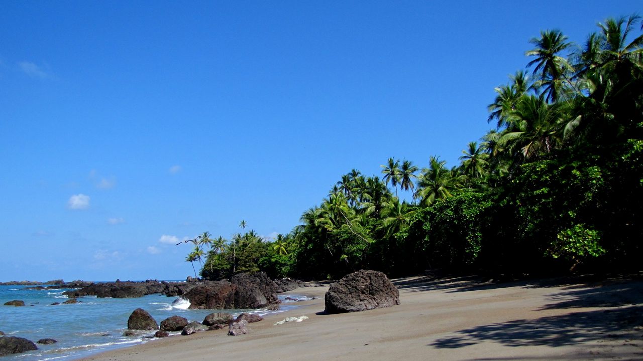 Wallpaper palm trees, coast, stones, shadows, beach, sand, sky, clearly, tropics, serenity