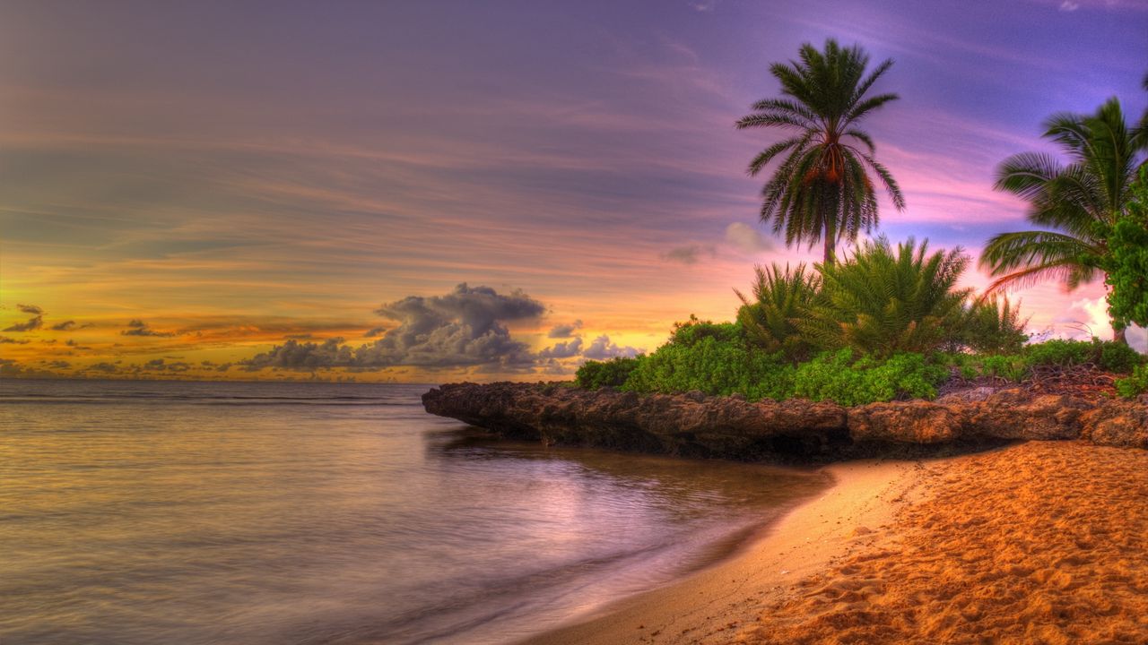 Wallpaper palm trees, coast, tropics, sand, beach, friable, decline, sky, clouds, horizon