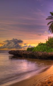 Preview wallpaper palm trees, coast, tropics, sand, beach, friable, decline, sky, clouds, horizon