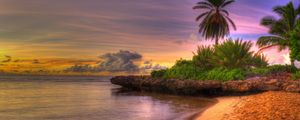 Preview wallpaper palm trees, coast, tropics, sand, beach, friable, decline, sky, clouds, horizon