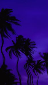 Preview wallpaper palm trees, dark, illusion, distortion