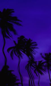 Preview wallpaper palm trees, dark, illusion, distortion