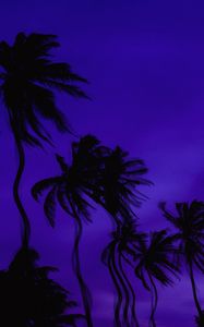 Preview wallpaper palm trees, dark, illusion, distortion