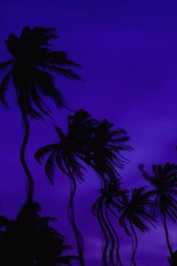 Preview wallpaper palm trees, dark, illusion, distortion