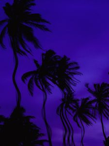 Preview wallpaper palm trees, dark, illusion, distortion
