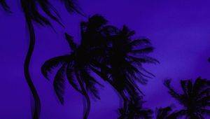 Preview wallpaper palm trees, dark, illusion, distortion