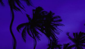 Preview wallpaper palm trees, dark, illusion, distortion