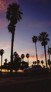 Preview wallpaper palm trees, dark, road, car, dusk