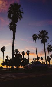 Preview wallpaper palm trees, dark, road, car, dusk