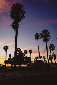 Preview wallpaper palm trees, dark, road, car, dusk