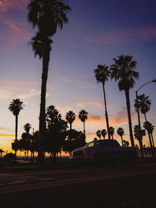 Preview wallpaper palm trees, dark, road, car, dusk