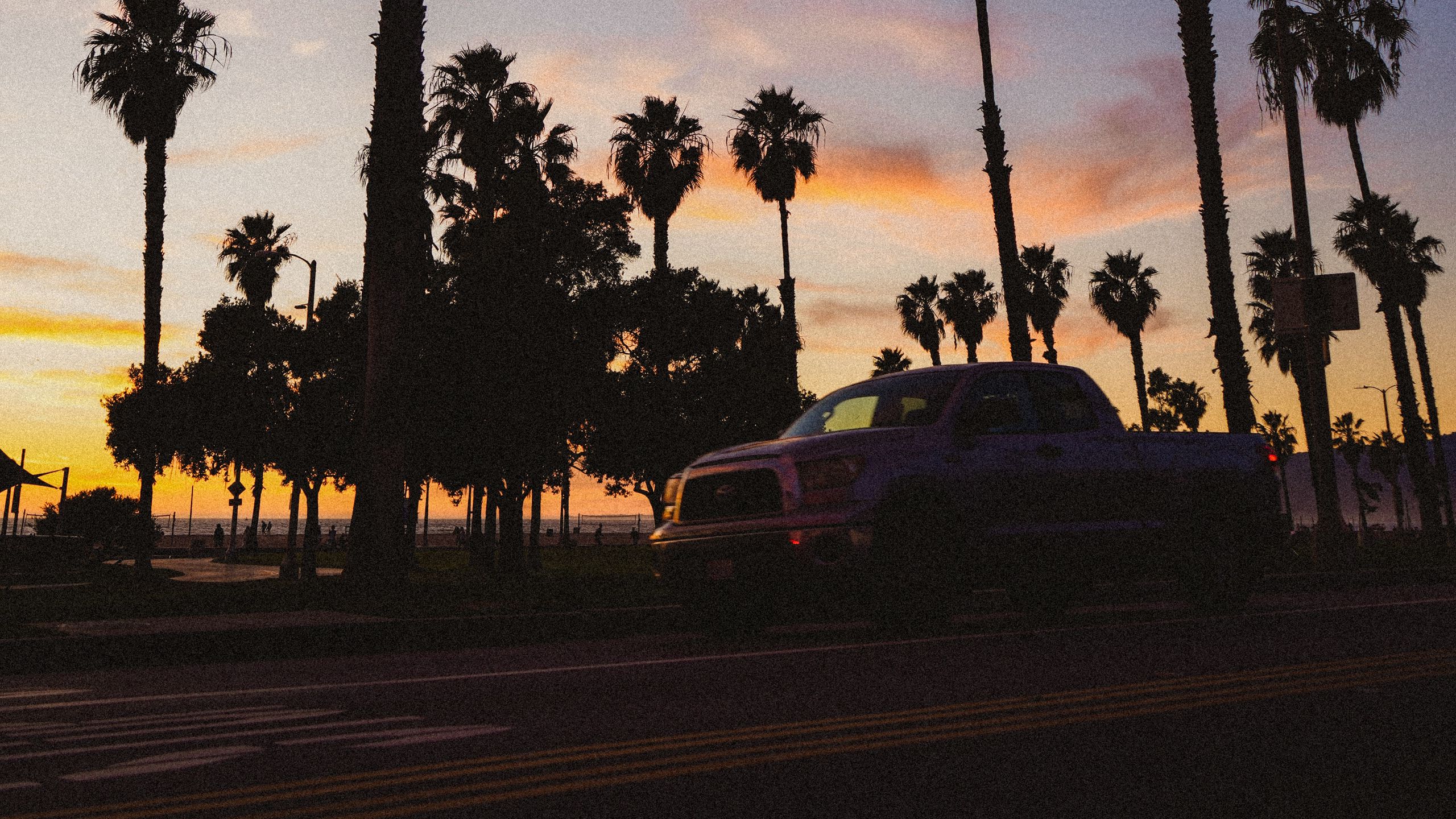 Download wallpaper 2560x1440 palm trees, dark, road, car, dusk