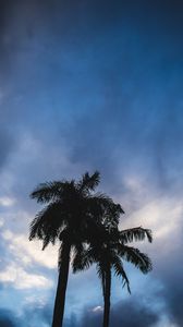 Preview wallpaper palm trees, dark, silhouettes, sky, clouds