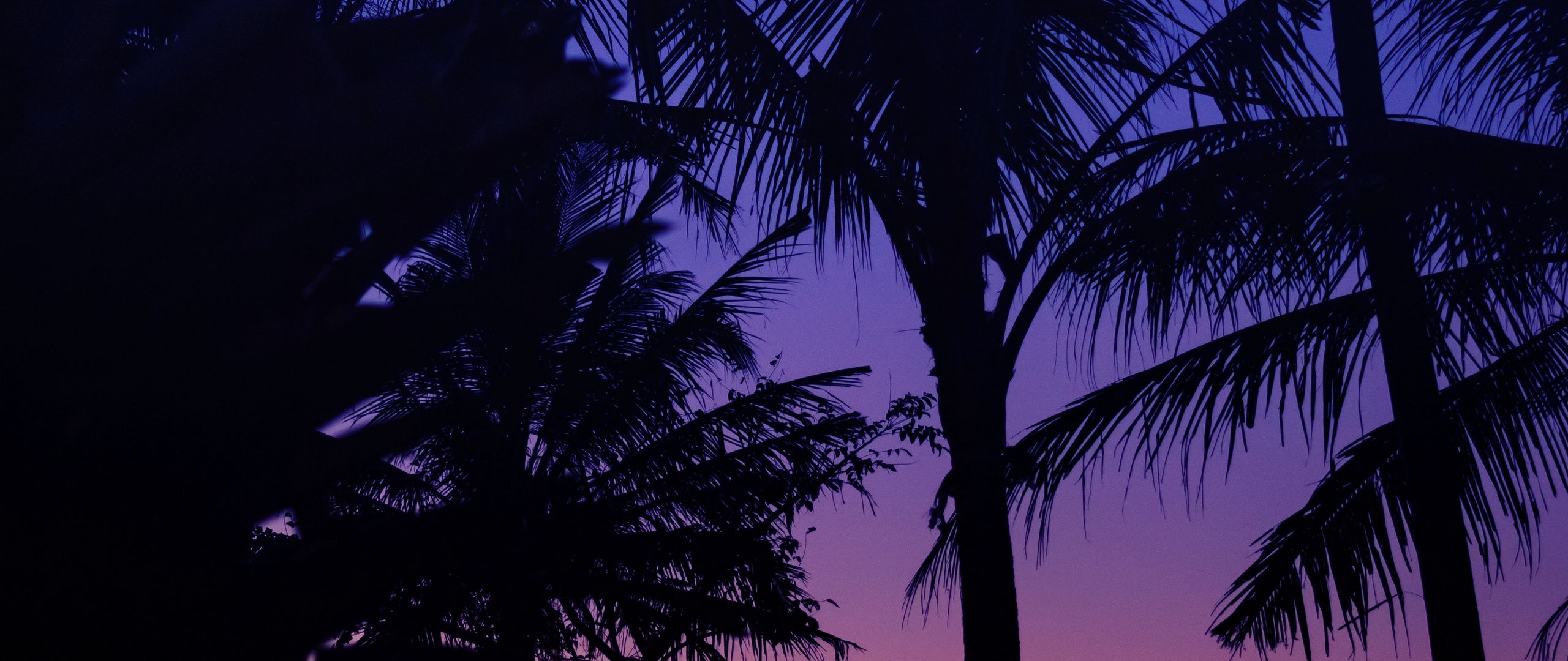 Download wallpaper 2560x1080 palm trees, dark, silhouettes, twilight ...