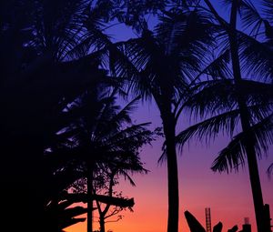 Preview wallpaper palm trees, dark, silhouettes, twilight, sunset