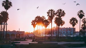 Preview wallpaper palm trees, dawn, birds, venice beach, los angeles, united states