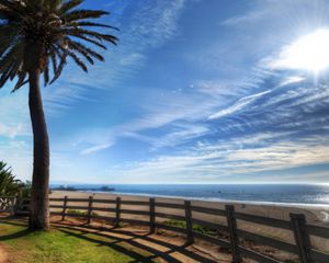Preview wallpaper palm trees, fence, protection, wind, coast, clouds, plumose, easy