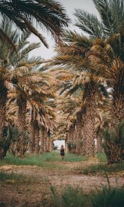 Preview wallpaper palm trees, grass, girl, tropics, nature