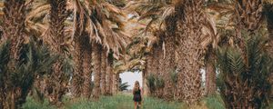 Preview wallpaper palm trees, grass, girl, tropics, nature