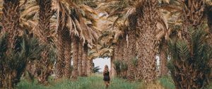 Preview wallpaper palm trees, grass, girl, tropics, nature