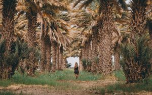 Preview wallpaper palm trees, grass, girl, tropics, nature