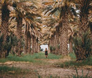 Preview wallpaper palm trees, grass, girl, tropics, nature