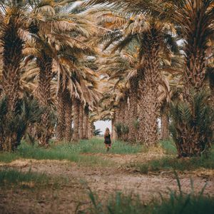 Preview wallpaper palm trees, grass, girl, tropics, nature