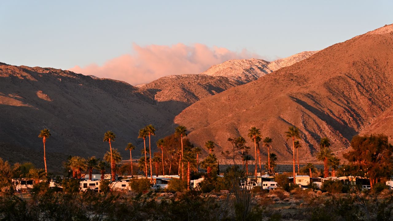 Wallpaper palm trees, hills, desert, oasis, nature