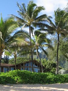 Preview wallpaper palm trees, house, coast, thickets, sand, beach