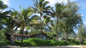 Preview wallpaper palm trees, house, coast, thickets, sand, beach