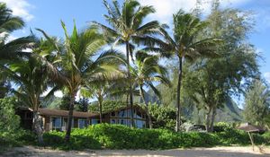 Preview wallpaper palm trees, house, coast, thickets, sand, beach