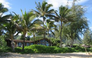 Preview wallpaper palm trees, house, coast, thickets, sand, beach