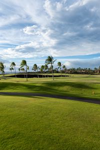 Preview wallpaper palm trees, lawn, grass, tropics, clouds