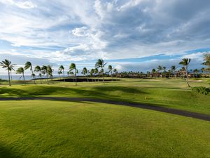 Preview wallpaper palm trees, lawn, grass, tropics, clouds