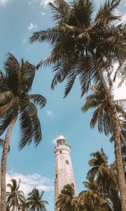 Preview wallpaper palm trees, lighthouse, sky, tropics, wind