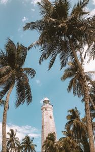 Preview wallpaper palm trees, lighthouse, sky, tropics, wind