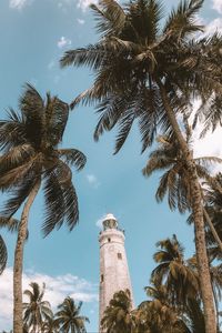 Preview wallpaper palm trees, lighthouse, sky, tropics, wind