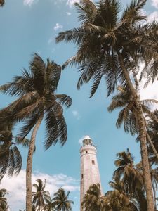 Preview wallpaper palm trees, lighthouse, sky, tropics, wind