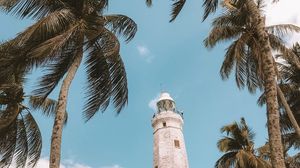 Preview wallpaper palm trees, lighthouse, sky, tropics, wind