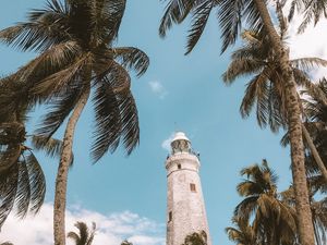 Preview wallpaper palm trees, lighthouse, sky, tropics, wind