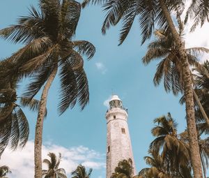 Preview wallpaper palm trees, lighthouse, sky, tropics, wind