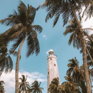 Preview wallpaper palm trees, lighthouse, sky, tropics, wind